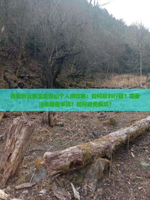 西安到云南玉龙雪山个人游