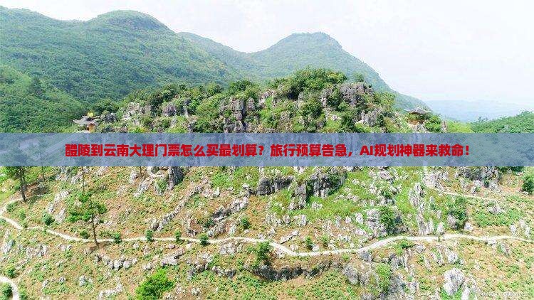 醴陵到云南大理门票