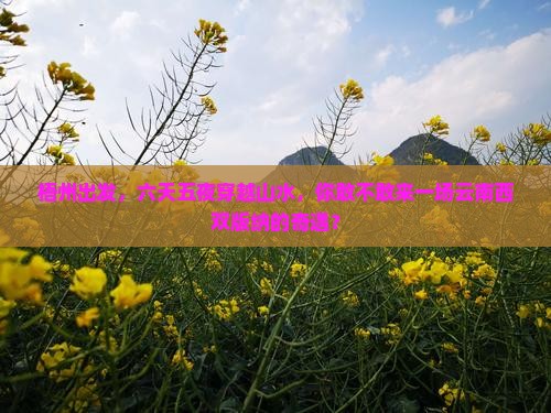 梧州去云南西双版纳六日游
