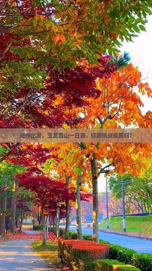 随州去云南玉龙雪山一日