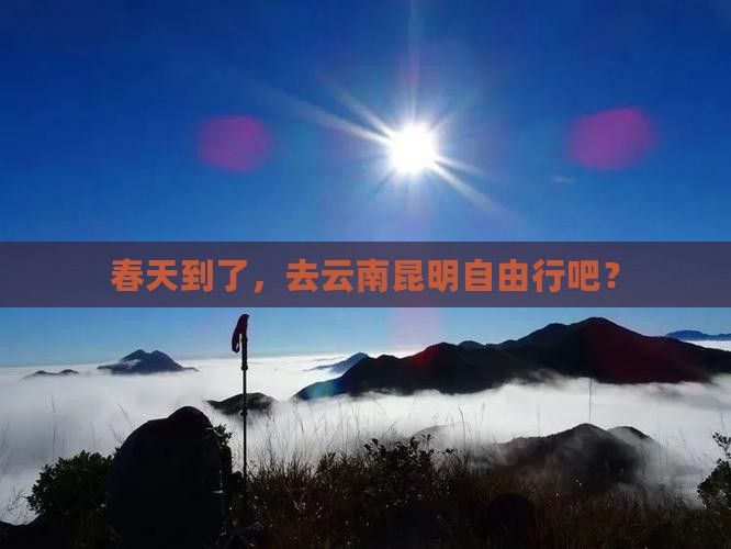 春天到云南昆明自由团