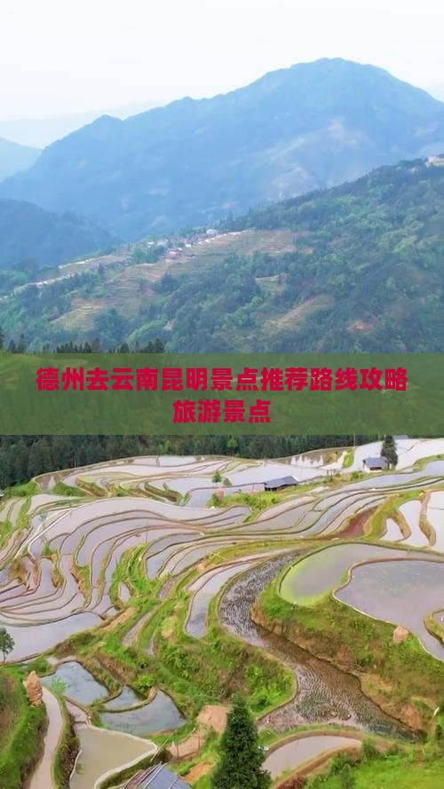 德州去云南昆明景点
