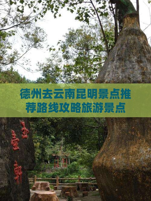 德州去云南昆明景点