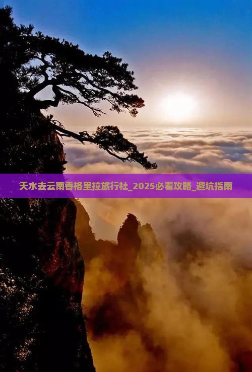 天水去云南香格里拉旅行社