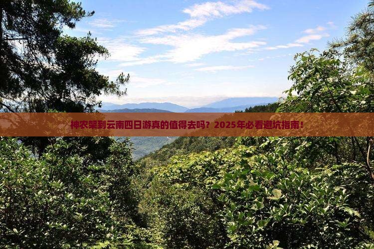 神农架到云南四日游