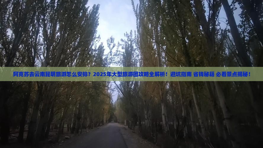 阿克苏去云南昆明大型旅游团