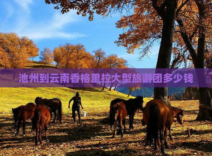 池州到云南香格里拉大型旅游团