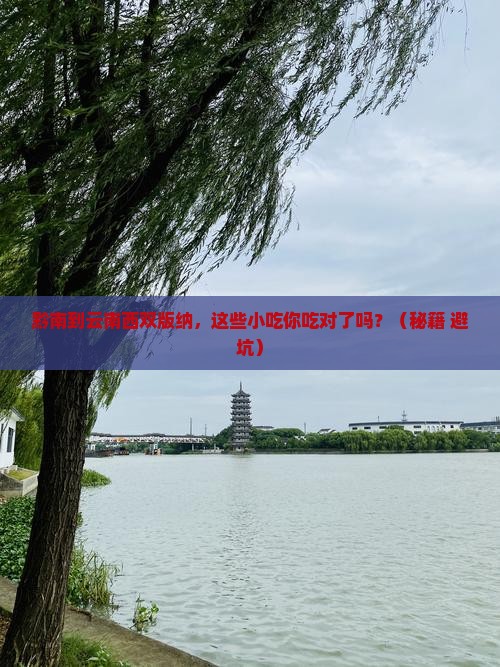 黔南到云南西双版纳旅游小吃