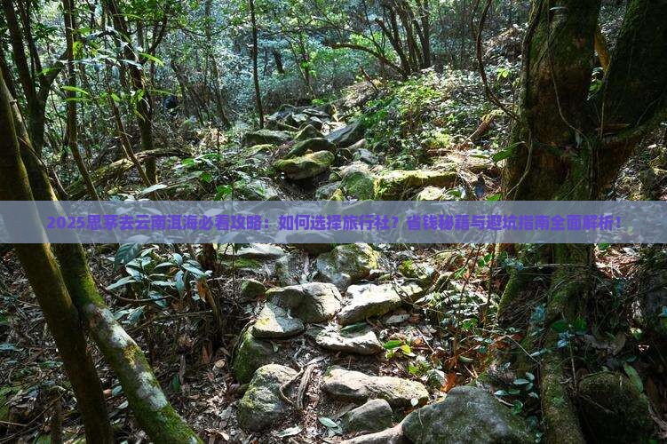 思茅去云南洱海旅行社