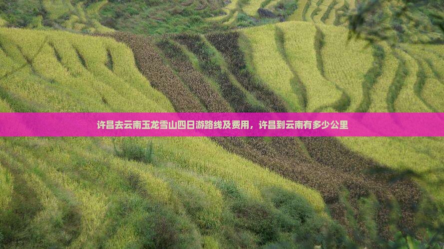 许昌去云南玉龙雪山四日游