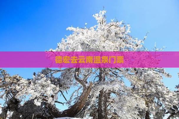 德宏去云南温泉门票