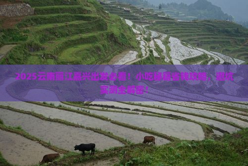 嘉兴去云南丽江旅游小吃