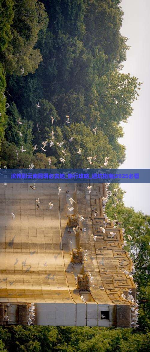 滨州到云南昆明必去地