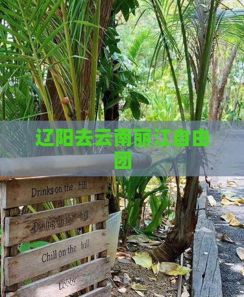 辽阳去云南丽江自由团