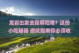 龙岩去云南昆明旅游小吃