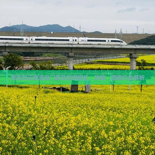 青岛到云南温泉门票