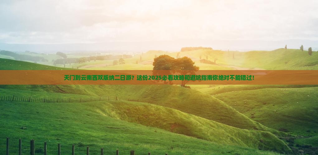 天门到云南西双版纳二日游