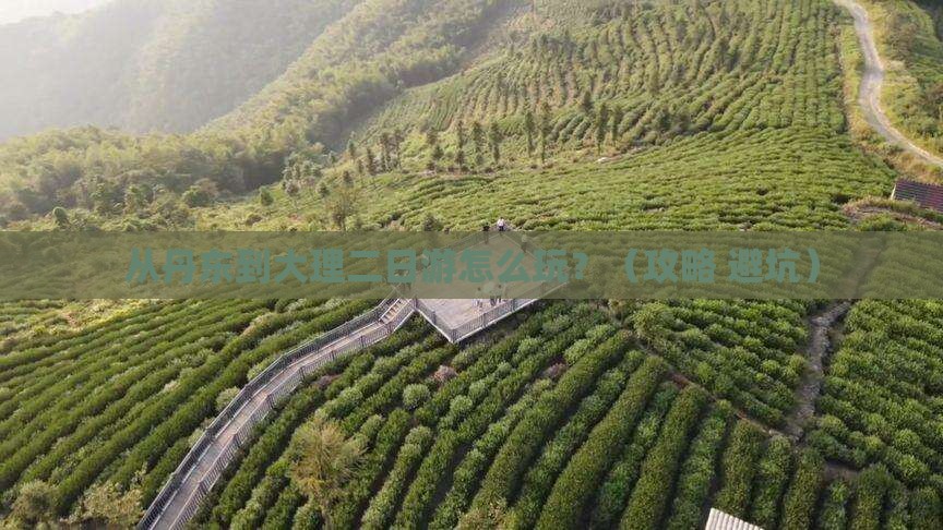 丹东去云南大理二日游 丹东去云南大理二日游
