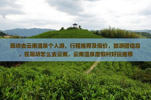 廊坊去云南温泉个人游