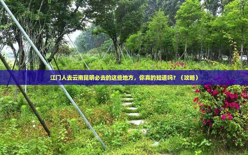 江门去云南昆明必去地