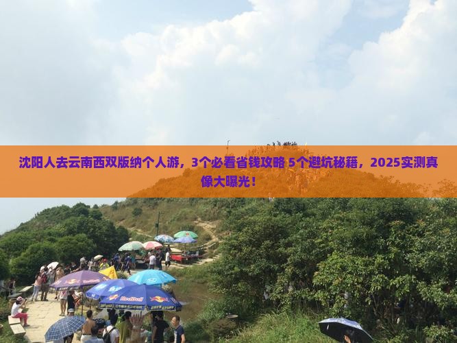 沈阳去云南西双版纳个人游