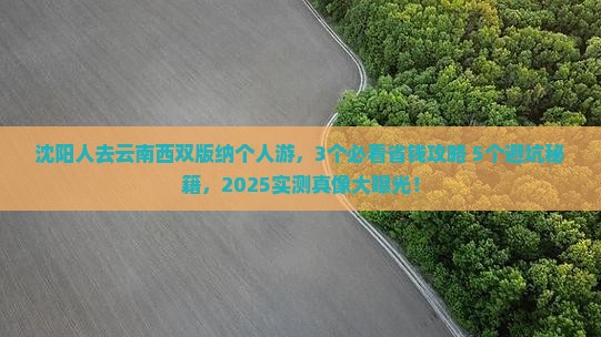 沈阳去云南西双版纳个人游