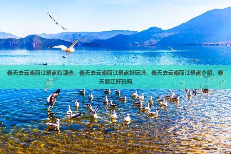 春天去云南丽江景点