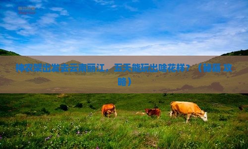 神农架去云南丽江五日游