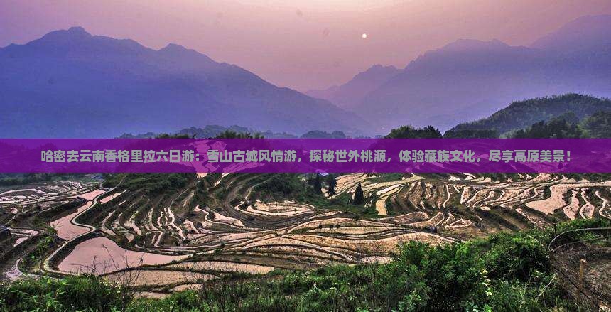 哈密去云南香格里拉六日游