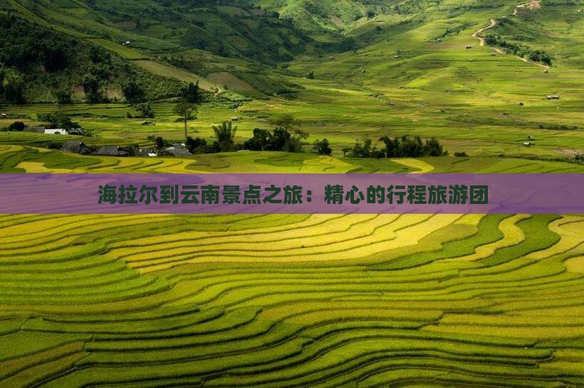 海拉尔去云南团体旅游