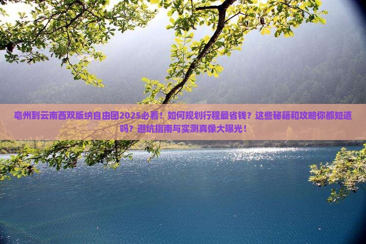 亳州到云南西双版纳自由团
