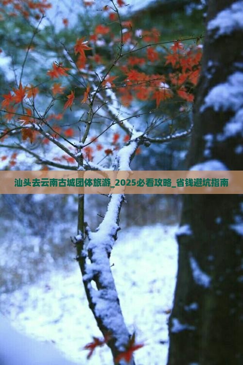 汕头去云南古城团体旅游