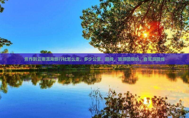 焦作到云南洱海旅行社