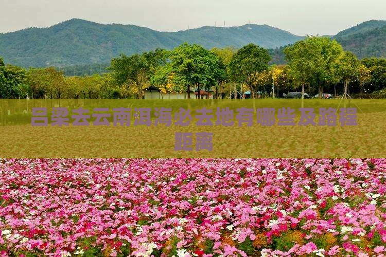 吕梁去云南洱海必去地有哪些及路程距离
