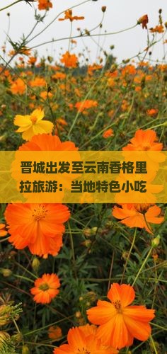 晋城出发至云南香格里拉旅游：当地特色小吃推荐与美食攻略有哪些？