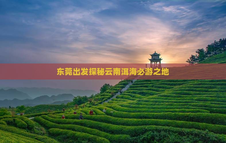 东莞出发探秘云南洱海必游之地