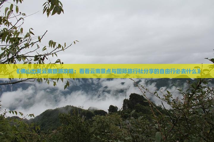 《佛山出发云南旅游攻略：看看云南景点与国际旅行社分享的自由行必去什么》
