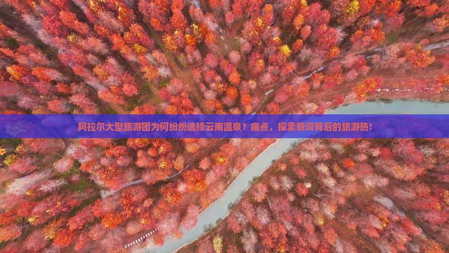 阿拉尔大型旅游团为何纷纷选择云南温泉？痛点，探索新词背后的旅游热!