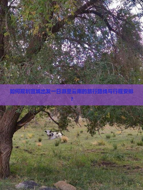 如何规划宣城出发一日游至云南的旅行路线与行程安排？