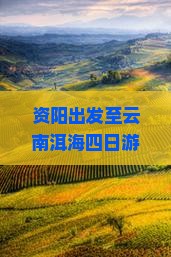 资阳出发至云南洱海四日游行程规划与旅游攻略指南？