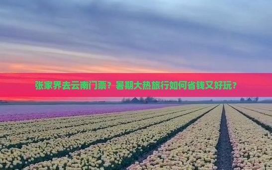 张家界去云南门票？暑期大热旅行如何省钱又好玩？