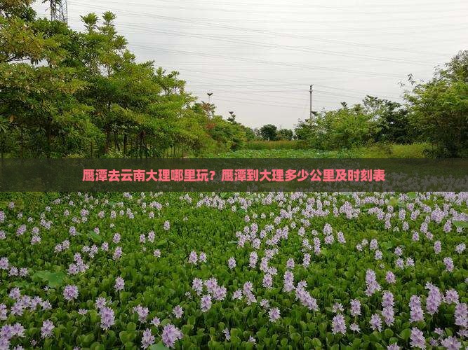 鹰潭去云南大理哪里玩？鹰潭到大理多少公里及时刻表