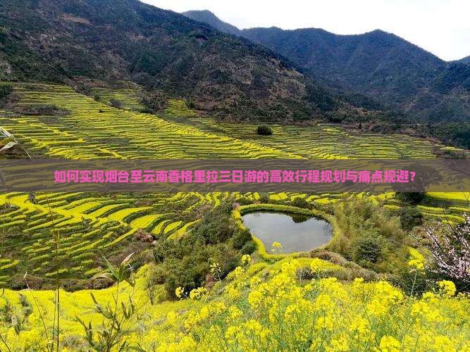 如何实现烟台至云南香格里拉三日游的高效行程规划与痛点规避？