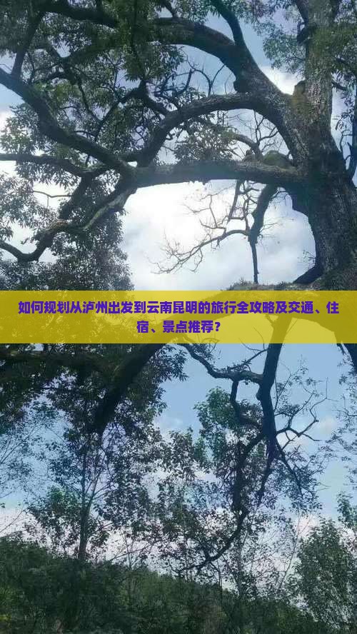 如何规划从泸州出发到云南昆明的旅行全攻略及交通、住宿、景点推荐？