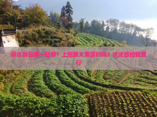 丽水到云南一日游？上班族太累没时间？试试旅拍轻旅行