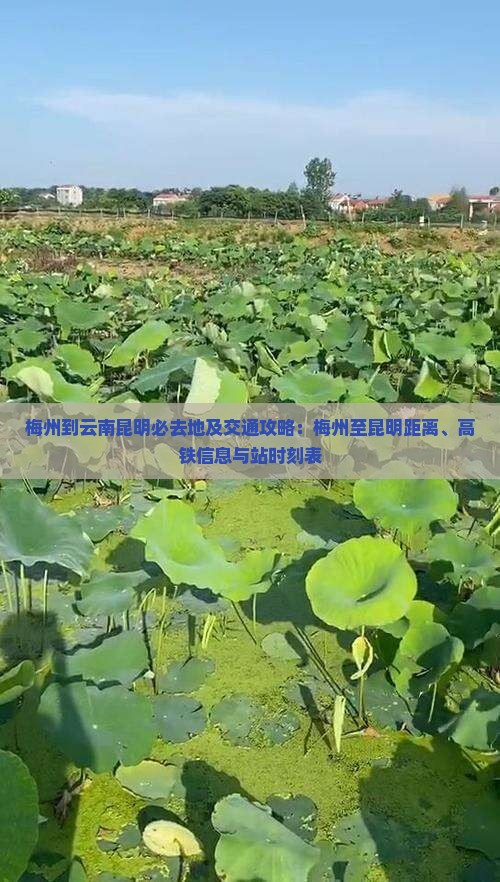 梅州到云南昆明必去地及交通攻略：梅州至昆明距离、高铁信息与站时刻表
