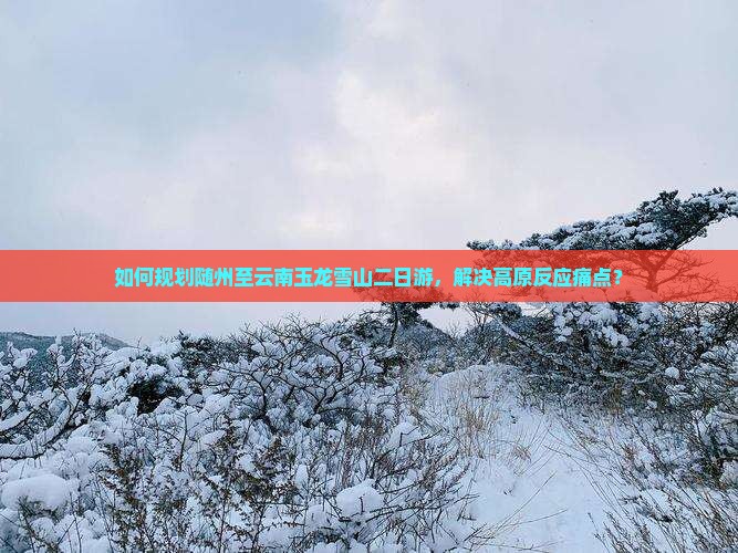 如何规划随州至云南玉龙雪山二日游，解决高原反应痛点？