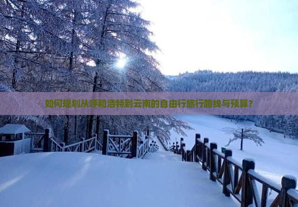 如何规划从呼和浩特到云南的自由行旅行路线与预算？