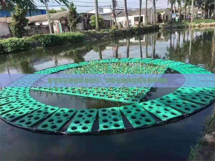 春节到云南温泉自由行:攻略与路线指南及费用预算 春节到云南温泉自由行:攻略与路线指南及费用预算