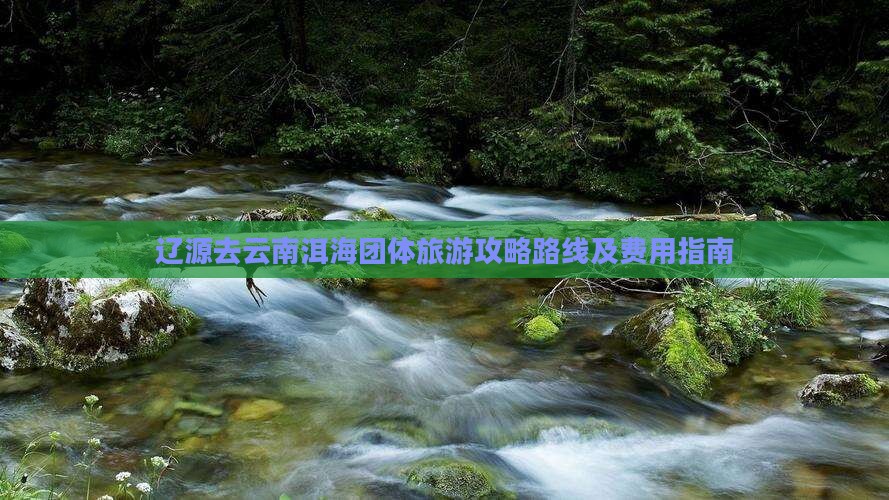辽源去云南洱海团体旅游攻略路线及费用指南